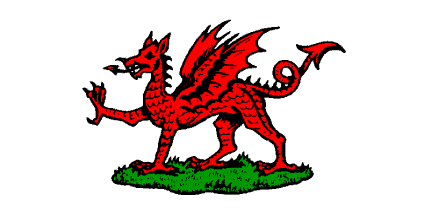 Older style flag with Dragon on a patch of Grass